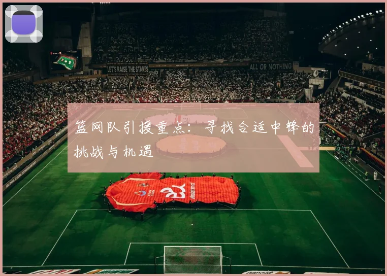 篮网队引援重点：寻找合适中锋的挑战与机遇