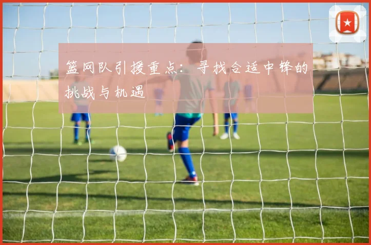 篮网队引援重点：寻找合适中锋的挑战与机遇